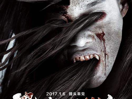 哪里能做渔业船舶职务船员适任证书